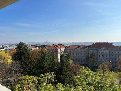 Wohnung mieten in 1140 Wien