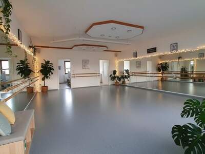 Gewerbeobjekt mieten in 4910 Ried (Bild 2)