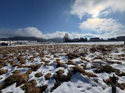 Grundstück kaufen in 8741 Weißkirchen