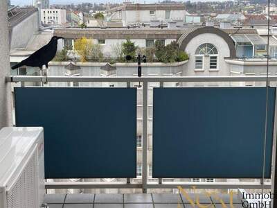 Terrassenwohnung mieten in 4020 Linz (Bild 3)
