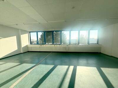 Büro / Praxis mieten in 2351 Wr. Neudorf (Bild 1)