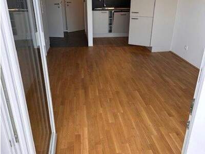Terrassenwohnung mieten in 2201 Gerasdorf (Bild 2)