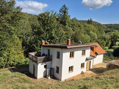 Haus kaufen in 7442 Hammerteich