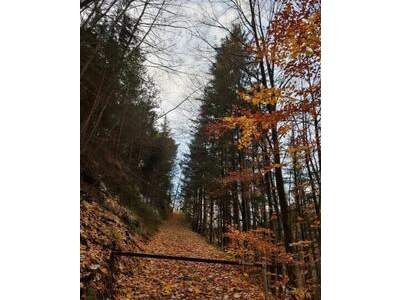 Grundstück kaufen in 8102 Semriach