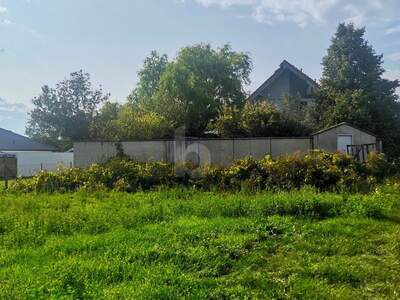 Grundstück kaufen in 7123 Mönchhof (Bild 3)