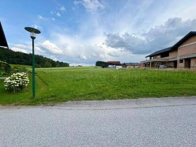 Grundstück provisionsfrei kaufen in 5162 Obertrum
