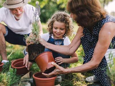 Wohnung mieten in 9100 Völkermarkt (Bild 3)