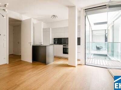 Terrassenwohnung mieten in 1030 Wien (Bild 1)
