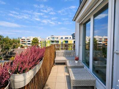 Wohnung kaufen in 1220 Wien