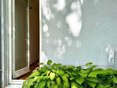 Wohnung kaufen in 1190 Wien (Bild 5)