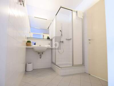 Beherbergungsbetrieb kaufen in 7361 Lutzmannsburg (Bild 4)