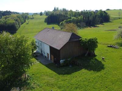 Haus kaufen in 4161 Ulrichsberg