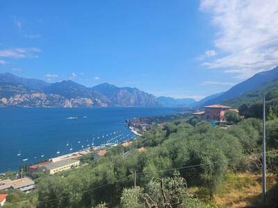 Haus kaufen in 1010 Wien