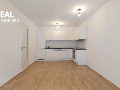 Wohnung mieten in 1020 Wien (Bild 3)
