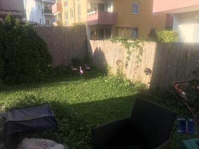 Apartment provisionsfrei mieten in 9020 Klagenfurt