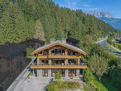 Mehrfamilienhaus kaufen in 6370 Kitzbühel (Bild 3)
