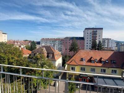 Terrassenwohnung kaufen in 3500 Krems (Bild 5)