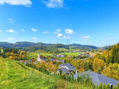 Grundstück kaufen in 4204 Reichenau