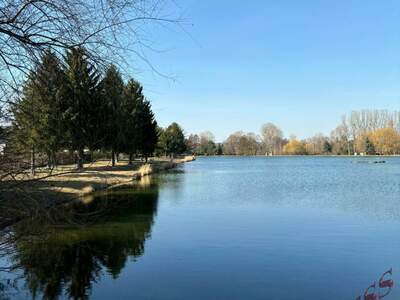 Einfamilienhaus kaufen in 7202 Bad Sauerbrunn (Bild 3)
