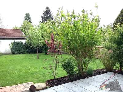 Mehrfamilienhaus kaufen in 2485 Wimpassing (Bild 1)