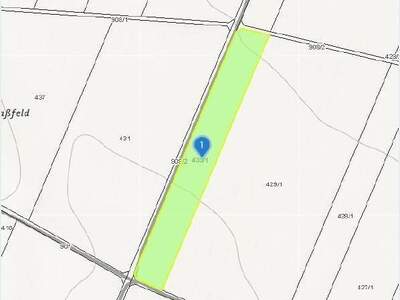 Grundstück kaufen in 2011 Sierndorf (Bild 5)