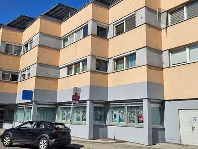 Gewerbeobjekt kaufen in 1230 Wien (Bild 2)