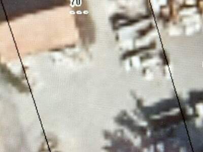 Grundstück kaufen in 3425 Langenlebarn (Bild 2)