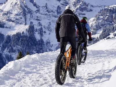 Wohnung mit Balkon kaufen in 8970 Schladming