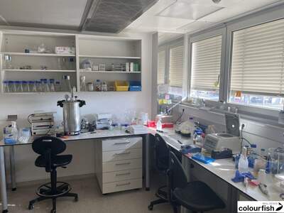 Gewerbeobjekt mieten in 1210 Wien (Bild 2)