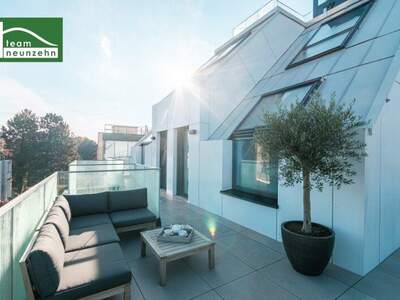 Terrassenwohnung kaufen in 1190 Wien (Bild 4)