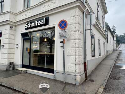 Gewerbeobjekt mieten in 2380 Perchtoldsdorf (Bild 3)