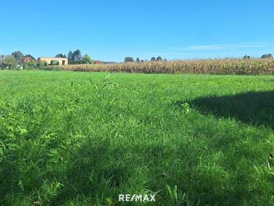 Anlageobjekt kaufen in 8472 Straß