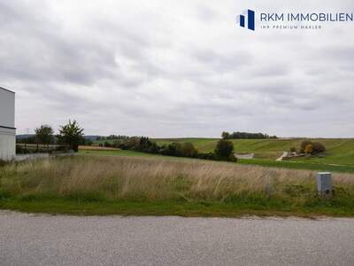 Grundstück kaufen in 2100 Tresdorf