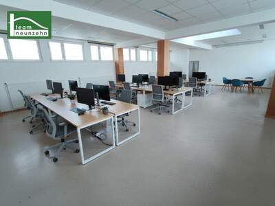 Büro / Praxis mieten in 3500 Krems (Bild 4)