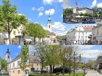 Anlageobjekt kaufen in 1230 Wien (Bild 1)