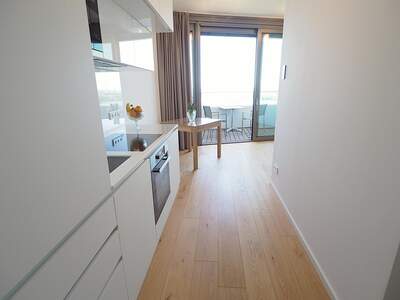 Terrassenwohnung mieten in 1220 Wien (Bild 4)