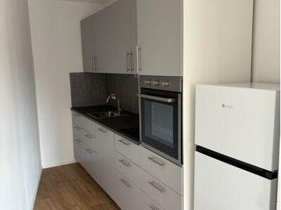 Terrassenwohnung mieten in 2340 Mödling (Bild 5)