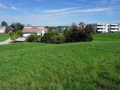 Grundstück kaufen in 4910 Ried