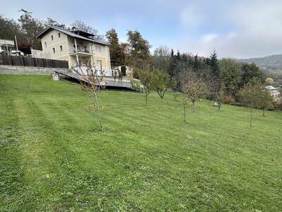 Grundstück kaufen in 4221 Steyregg (Bild 2)