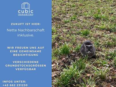 Grundstück kaufen in 5120 Sankt Pantaleon (Bild 3)