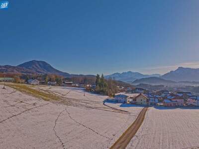 Grundstück kaufen in 5300 Hallwang (Bild 3)