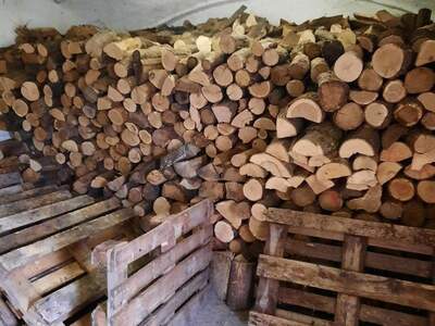 Einfamilienhaus kaufen in 2274 Rabensburg (Bild 5)