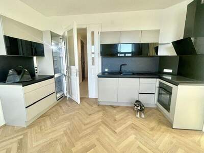 Gewerbeobjekt mieten in 1100 Wien (Bild 3)