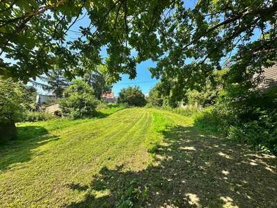 Haus kaufen in 2165 Drasenhofen