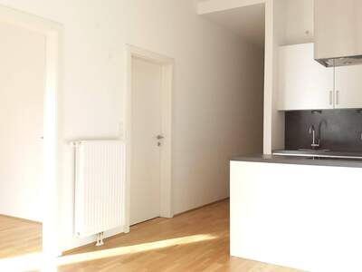 Wohnung mieten in 8020 Graz