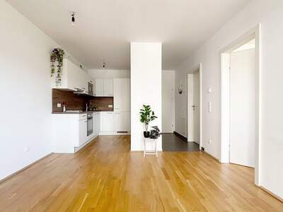 Apartment provisionsfrei mieten in 1220 Wien