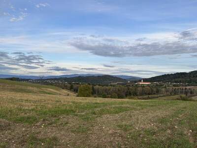 Gewerbeobjekt kaufen in 9313 Dellach