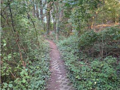 Grundstück kaufen in 3433 Königstetten (Bild 5)