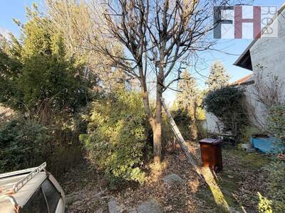 Haus kaufen in 2102 Bisamberg (Bild 5)