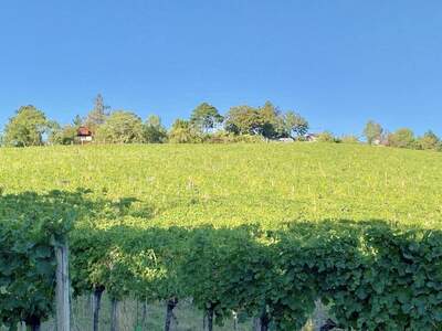 Eigentumswohnung in 1170 Wien